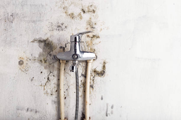 Best Mold Removal Near Me  in Hydro, OK