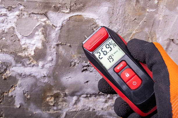 Best Home Mold Removal  in Hydro, OK