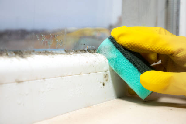 Best Residential Mold Removal  in Hydro, OK