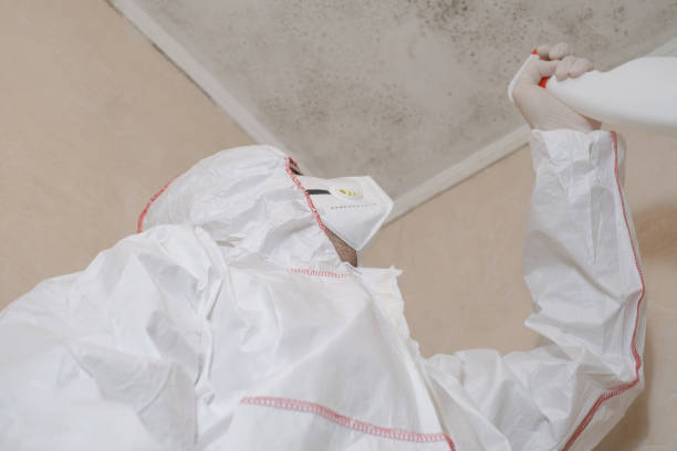 Best Office Mold Removal Services  in Hydro, OK