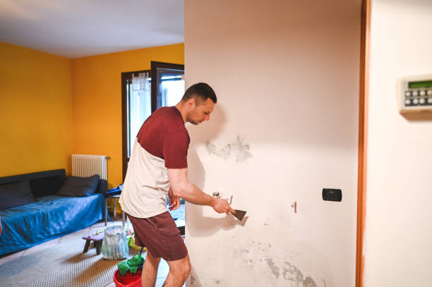 Mold Testing and Removal in Hydro, OK