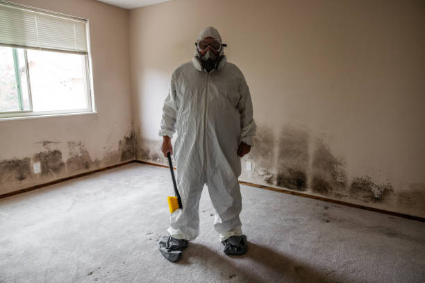 Trusted Hydro, OK Mold Removal Experts