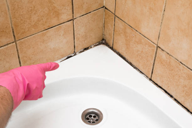 Best Certified Mold Removal  in Hydro, OK